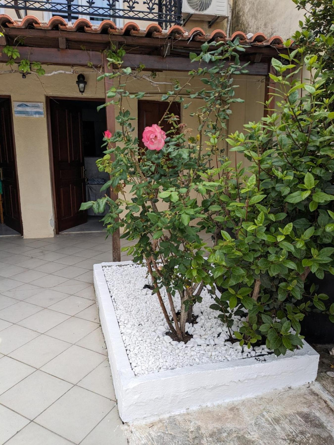 Kamelia Apartamento Kokkari Exterior foto