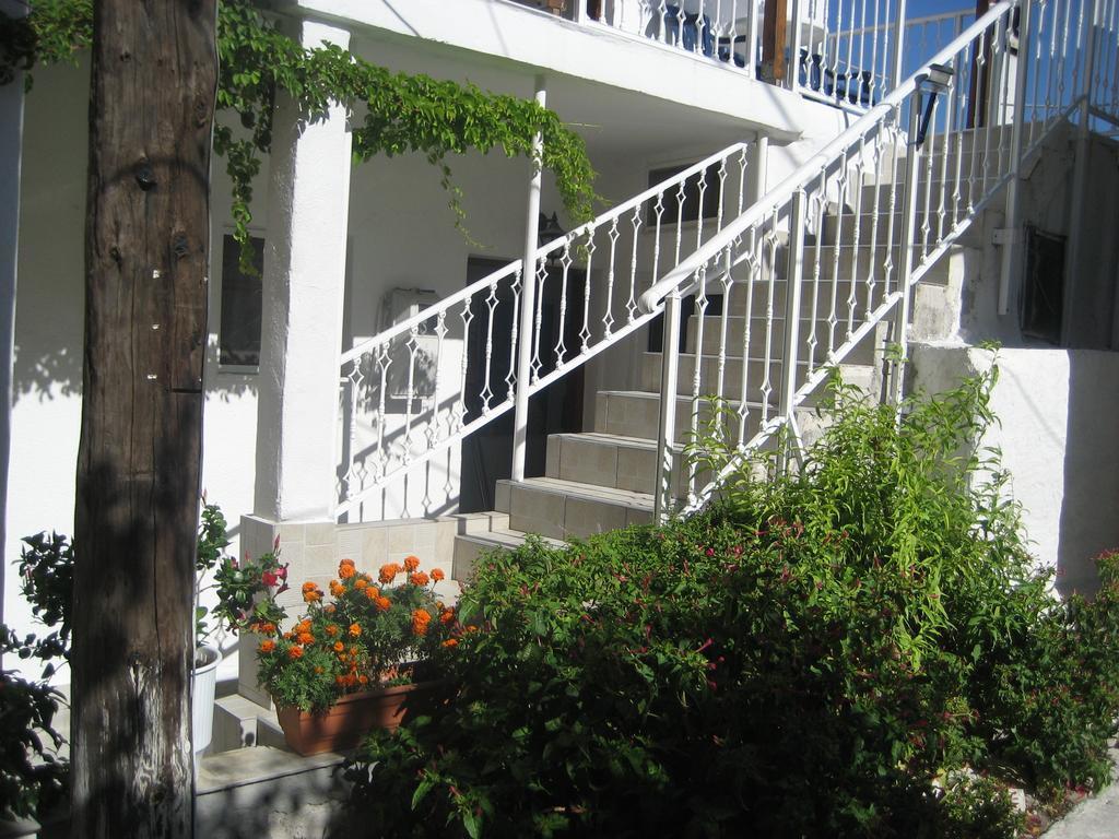 Kamelia Apartamento Kokkari Exterior foto